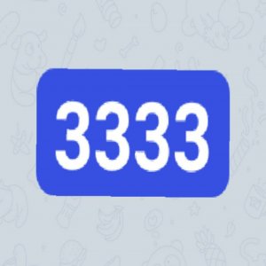 3333